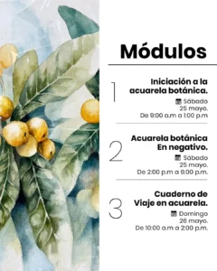 “Acuarela Botánica y Cuaderno de Viaje" Taller