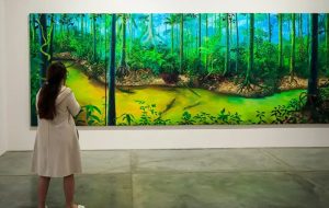 55 artistas panamazónicos exponen en el Mamm