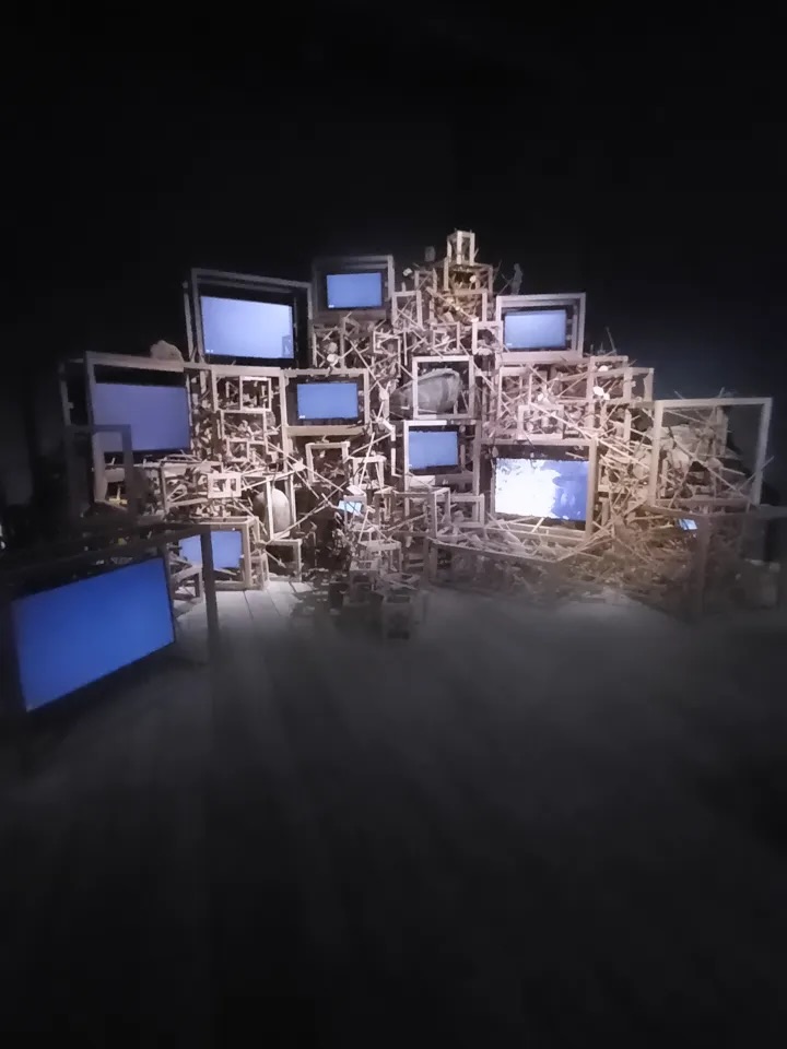 Sobre la decisión de no legitimar ⚡️🫨A días de la apertura de la @labiennale de Venecia (9 de m (11)
