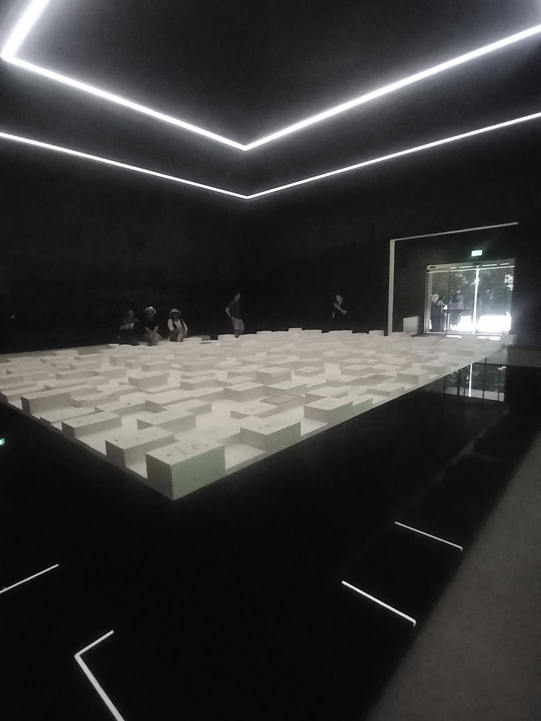 Sobre la decisión de no legitimar ⚡️🫨A días de la apertura de la @labiennale de Venecia (9 de m (3)