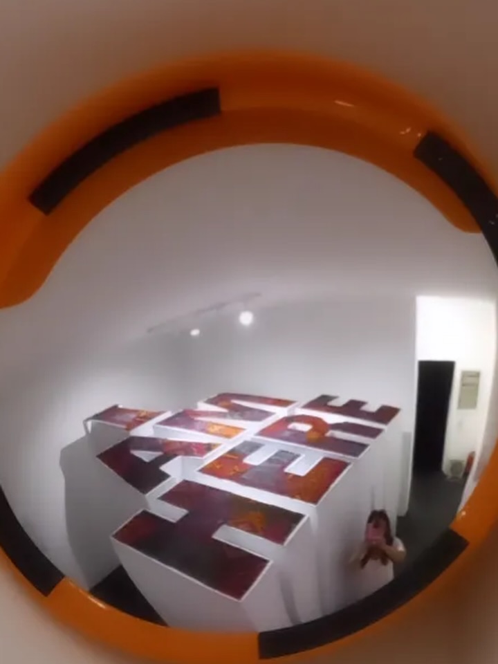 Sobre la decisión de no legitimar ⚡️🫨A días de la apertura de la @labiennale de Venecia (9 de m (6)