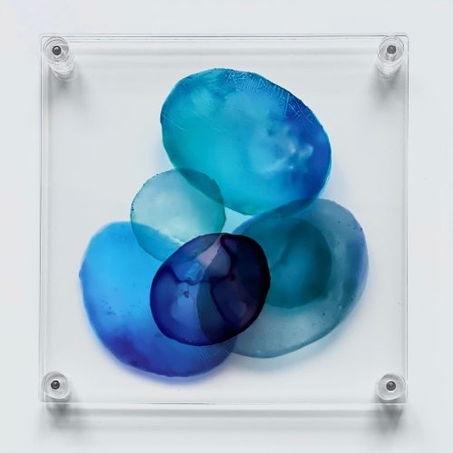 WhatsApp Image 2026-03-24 at 12.45.27 (1)