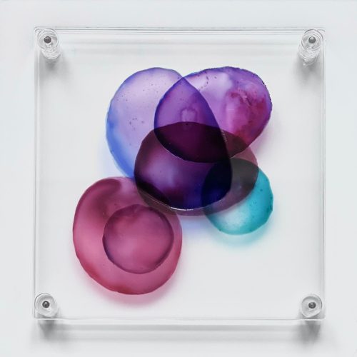 WhatsApp Image 2026-03-24 at 12.45.27